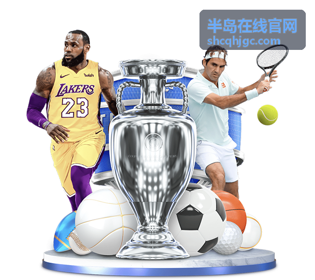 半岛在线官网服务流程说明图